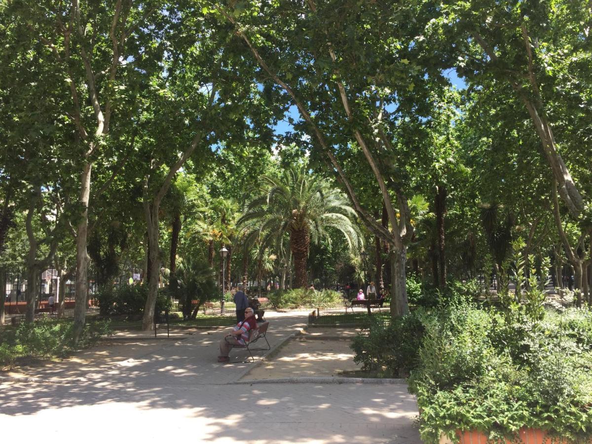מדריד Ever House - Alcala Cielo 2 Rooftop מראה חיצוני תמונה